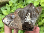 Polished Smokey Cascading Window Quartz Crystal with Enhydro x 1 from Akansobe, Madagascar