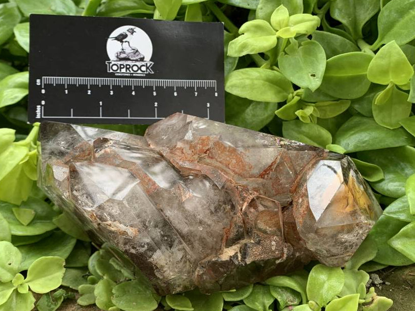 Polished Smokey Cascading Window Quartz Crystal with Enhydro x 1 from Akansobe, Madagascar