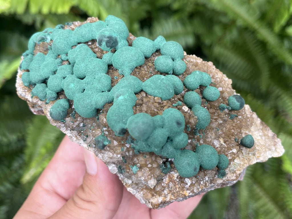 Natural Ball Malachite on Druzy Crystalline Dolomite Matrix Specimen x 1 from Kambove, Congo
