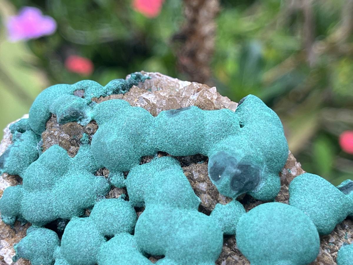 Natural Ball Malachite on Druzy Crystalline Dolomite Matrix Specimen x 1 from Kambove, Congo