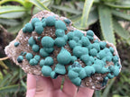 Natural Ball Malachite on Druzy Crystalline Dolomite Matrix Specimen x 1 from Kambove, Congo