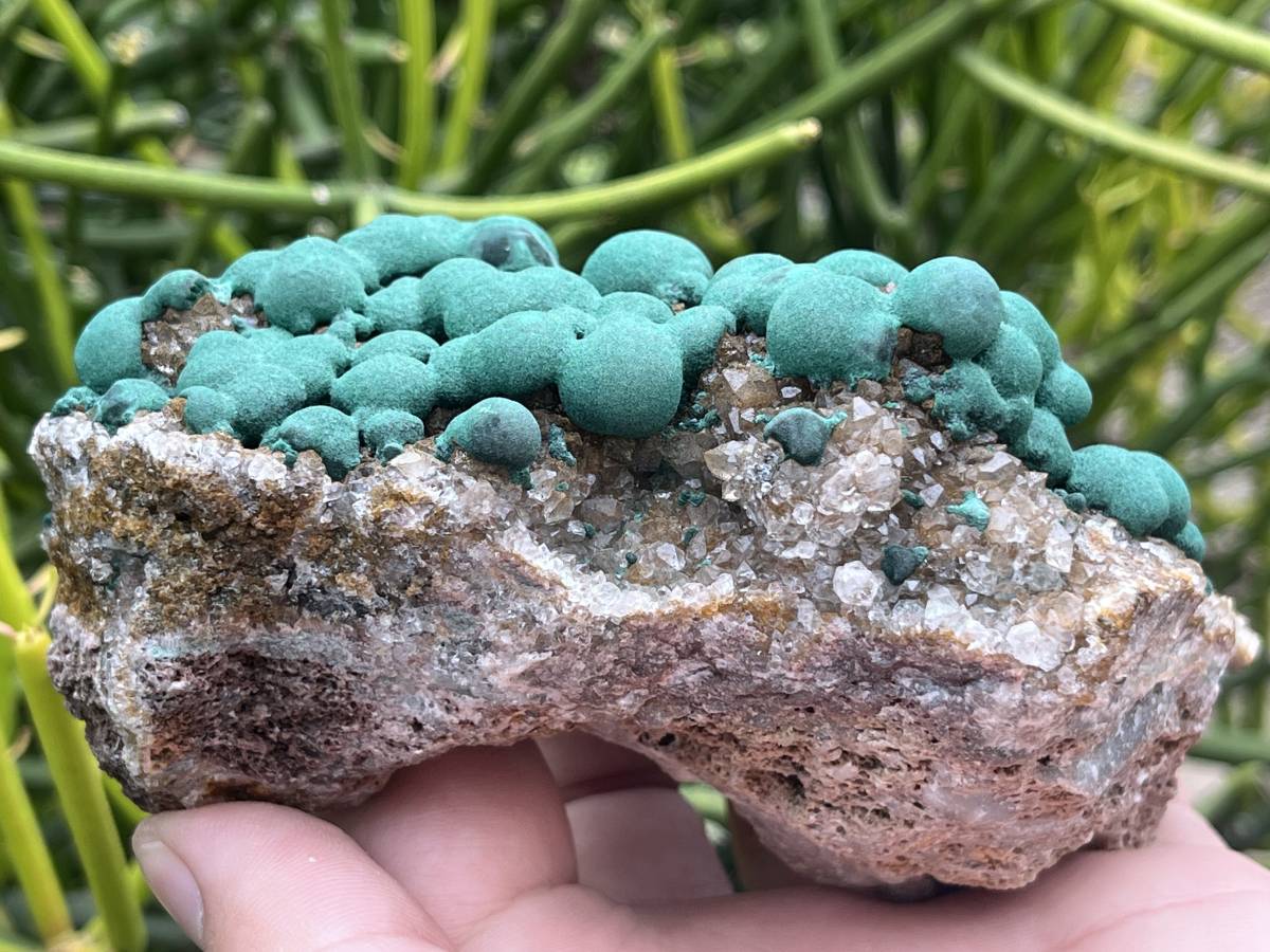 Natural Ball Malachite on Druzy Crystalline Dolomite Matrix Specimen x 1 from Kambove, Congo