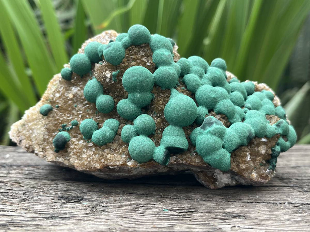 Natural Ball Malachite on Druzy Crystalline Dolomite Matrix Specimen x 1 from Kambove, Congo