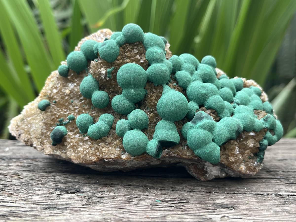 Natural Ball Malachite on Druzy Crystalline Dolomite Matrix Specimen x 1 from Kambove, Congo