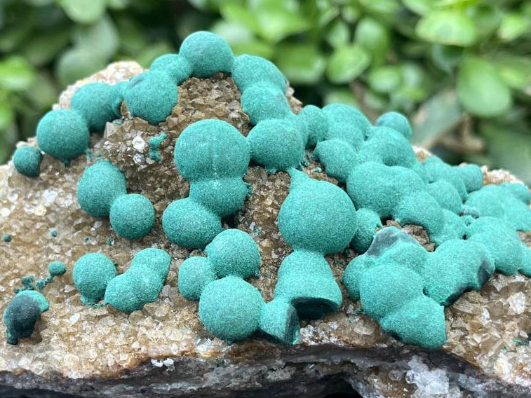 Natural Ball Malachite on Druzy Crystalline Dolomite Matrix Specimen x 1 from Kambove, Congo