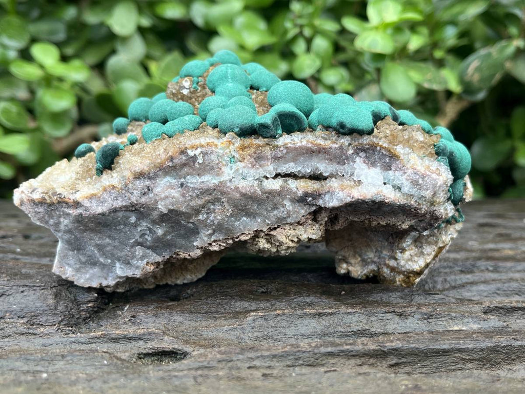 Natural Ball Malachite on Druzy Crystalline Dolomite Matrix Specimen x 1 from Kambove, Congo