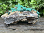 Natural Ball Malachite on Druzy Crystalline Dolomite Matrix Specimen x 1 from Kambove, Congo