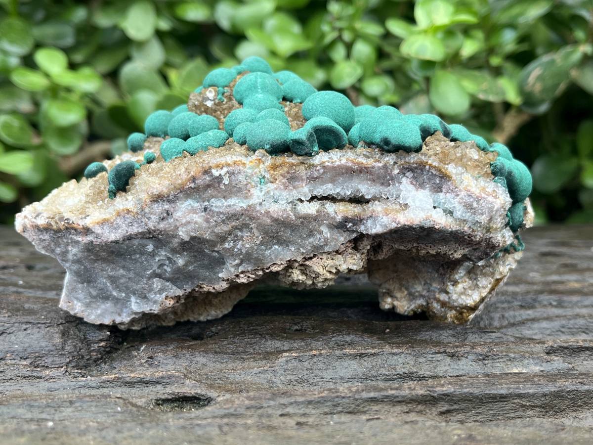 Natural Ball Malachite on Druzy Crystalline Dolomite Matrix Specimen x 1 from Kambove, Congo