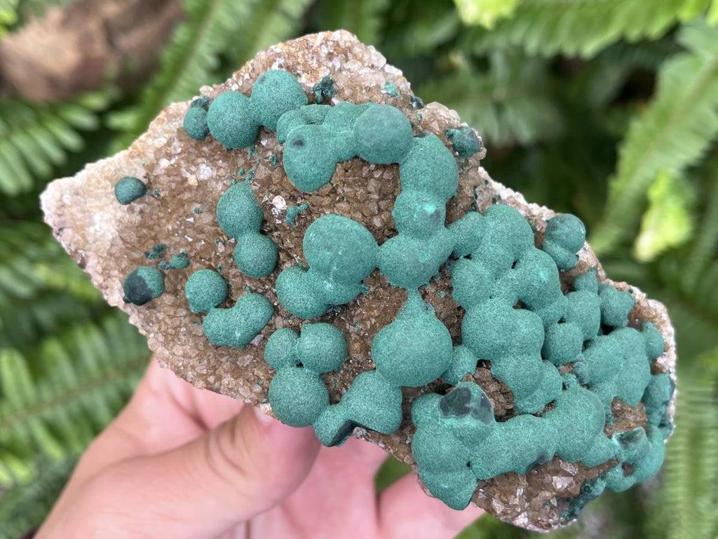 Natural Ball Malachite on Druzy Crystalline Dolomite Matrix Specimen x 1 from Kambove, Congo