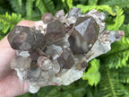 Natural Large Phantom Red Hematoid Quartz Crystal Cluster x 1 From Karoi, Zimbabwe
