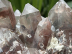 Natural Large Phantom Red Hematoid Quartz Crystal Cluster x 1 From Karoi, Zimbabwe