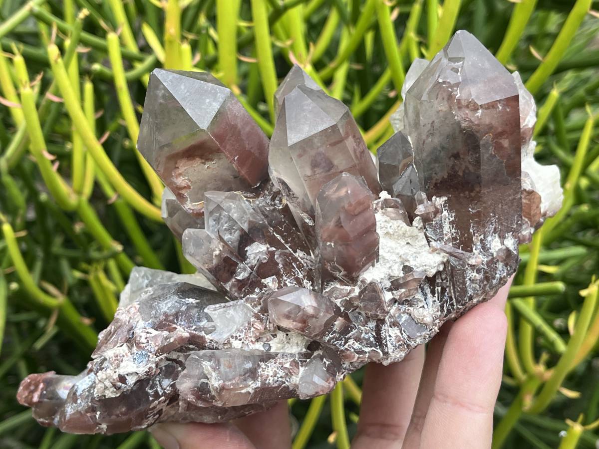Natural Large Phantom Red Hematoid Quartz Crystal Cluster x 1 From Karoi, Zimbabwe
