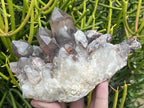 Natural Large Phantom Red Hematoid Quartz Crystal Cluster x 1 From Karoi, Zimbabwe