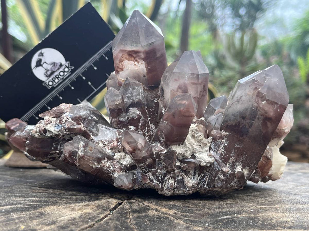 Natural Large Phantom Red Hematoid Quartz Crystal Cluster x 1 From Karoi, Zimbabwe