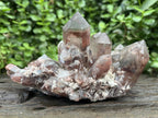 Natural Large Phantom Red Hematoid Quartz Crystal Cluster x 1 From Karoi, Zimbabwe