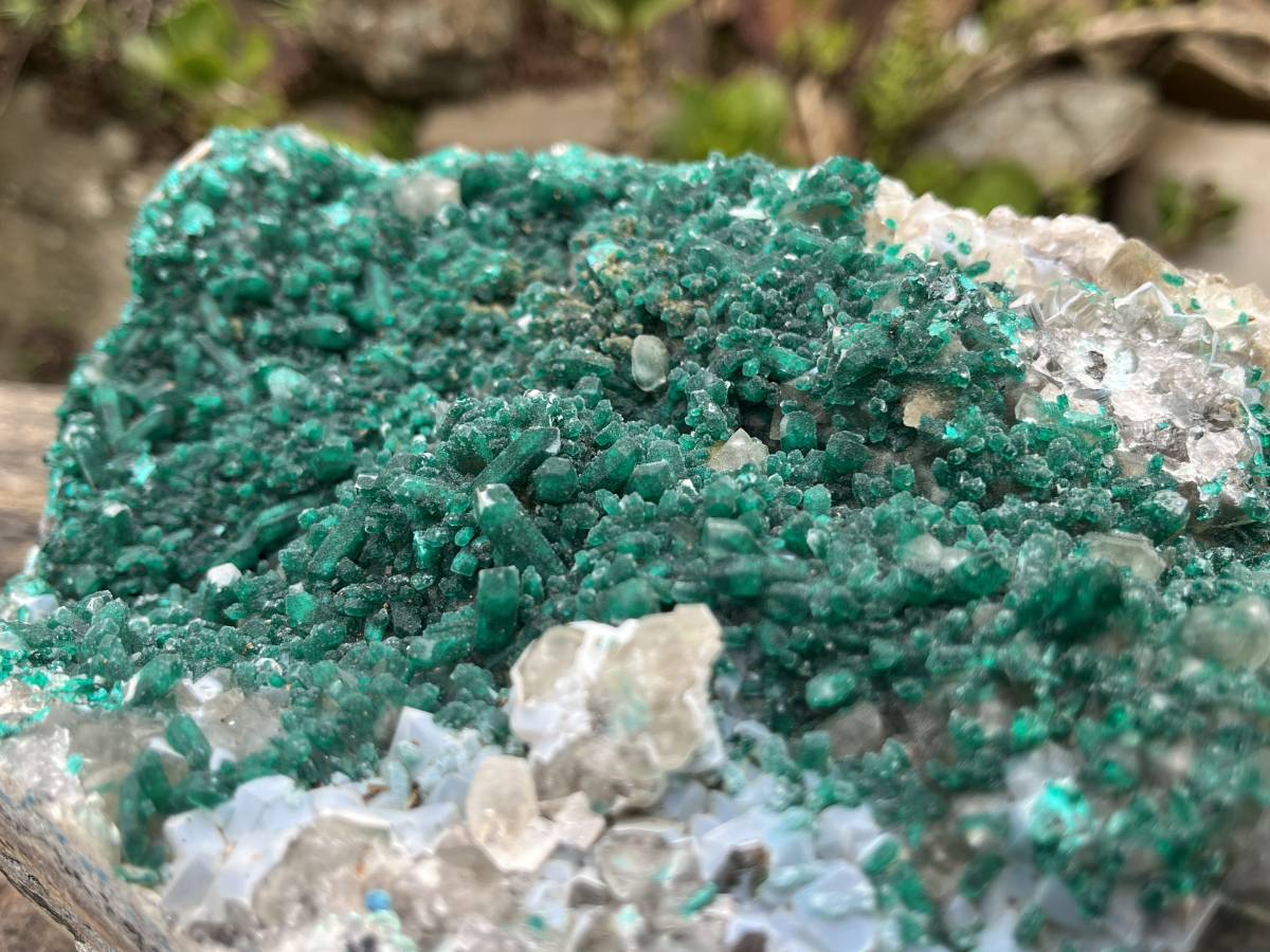Natural Exquisite XL Dioptase On Dolomite Specimen x 1 From Brazzaville, Congo