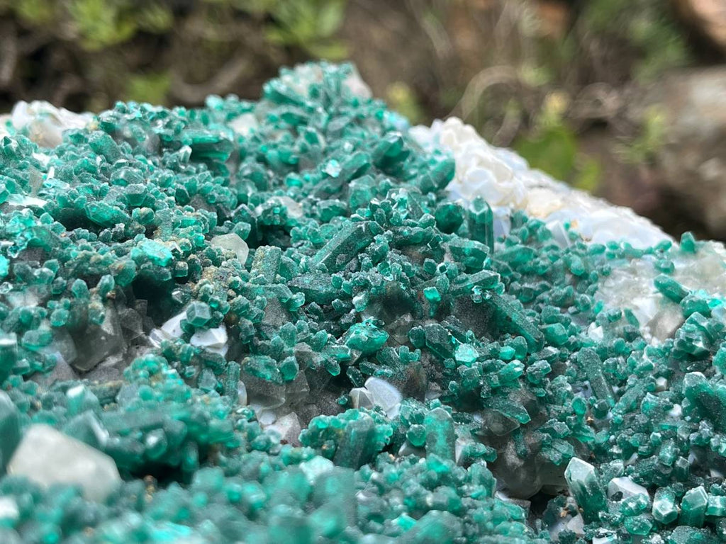 Natural Exquisite XL Dioptase On Dolomite Specimen x 1 From Brazzaville, Congo