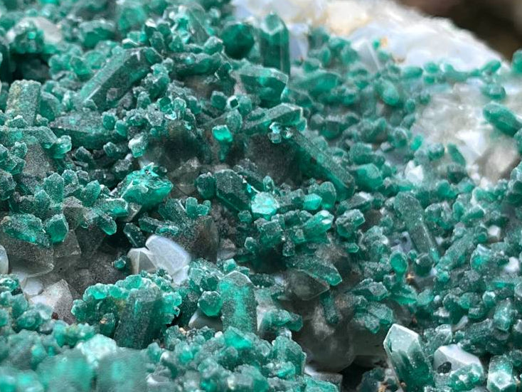 Natural Exquisite XL Dioptase On Dolomite Specimen x 1 From Brazzaville, Congo
