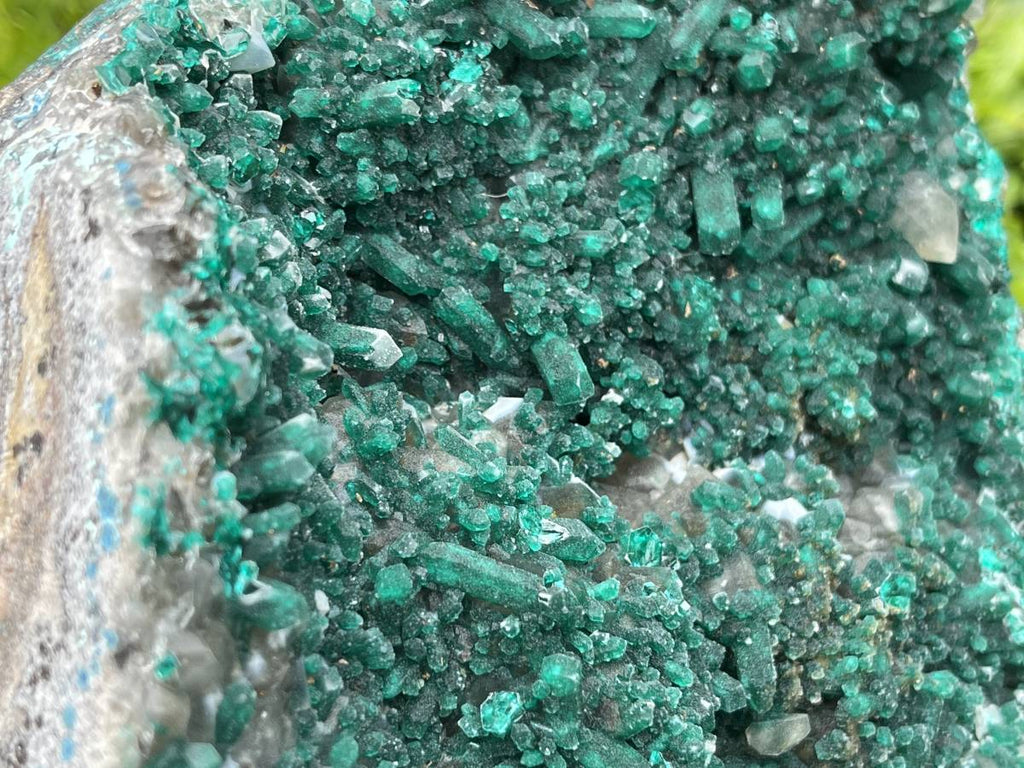 Natural Exquisite XL Dioptase On Dolomite Specimen x 1 From Brazzaville, Congo