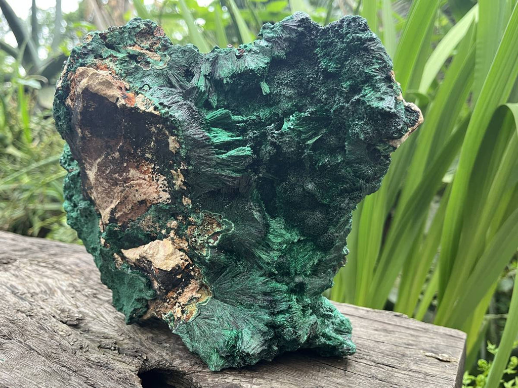 Natural XL Silky Malachite Specimen x 1 From Kasompe, Congo