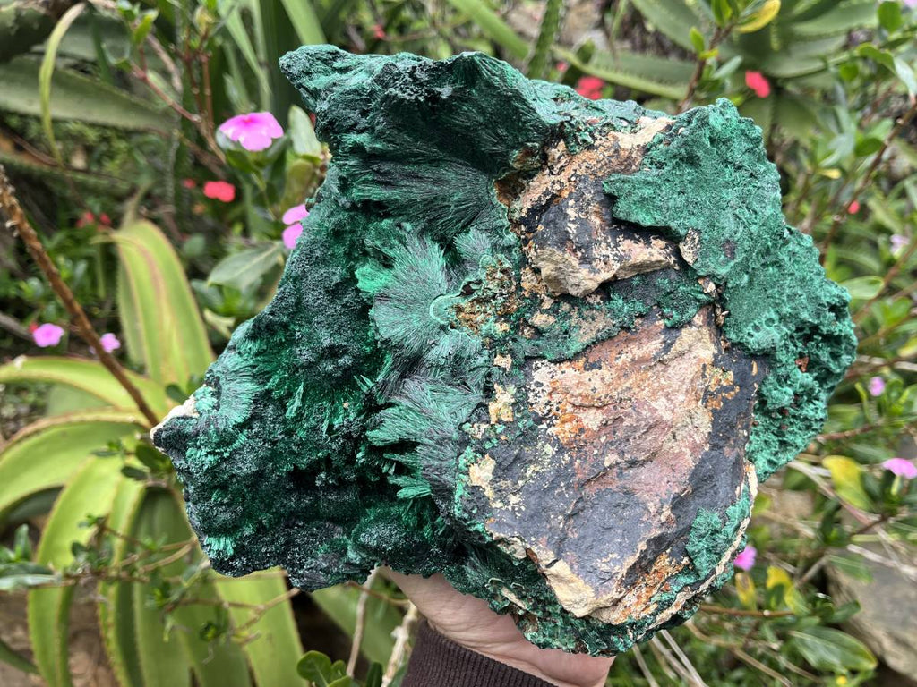 Natural XL Silky Malachite Specimen x 1 From Kasompe, Congo