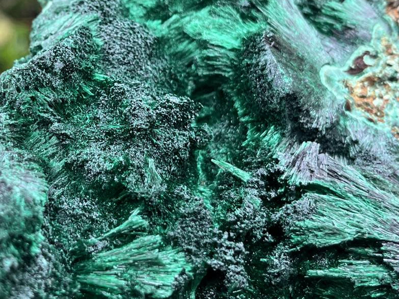 Natural XL Silky Malachite Specimen x 1 From Kasompe, Congo