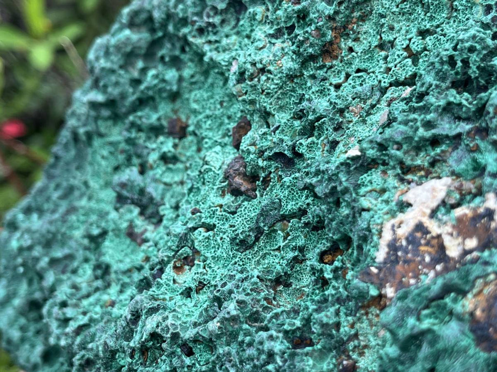 Natural XL Silky Malachite Specimen x 1 From Kasompe, Congo