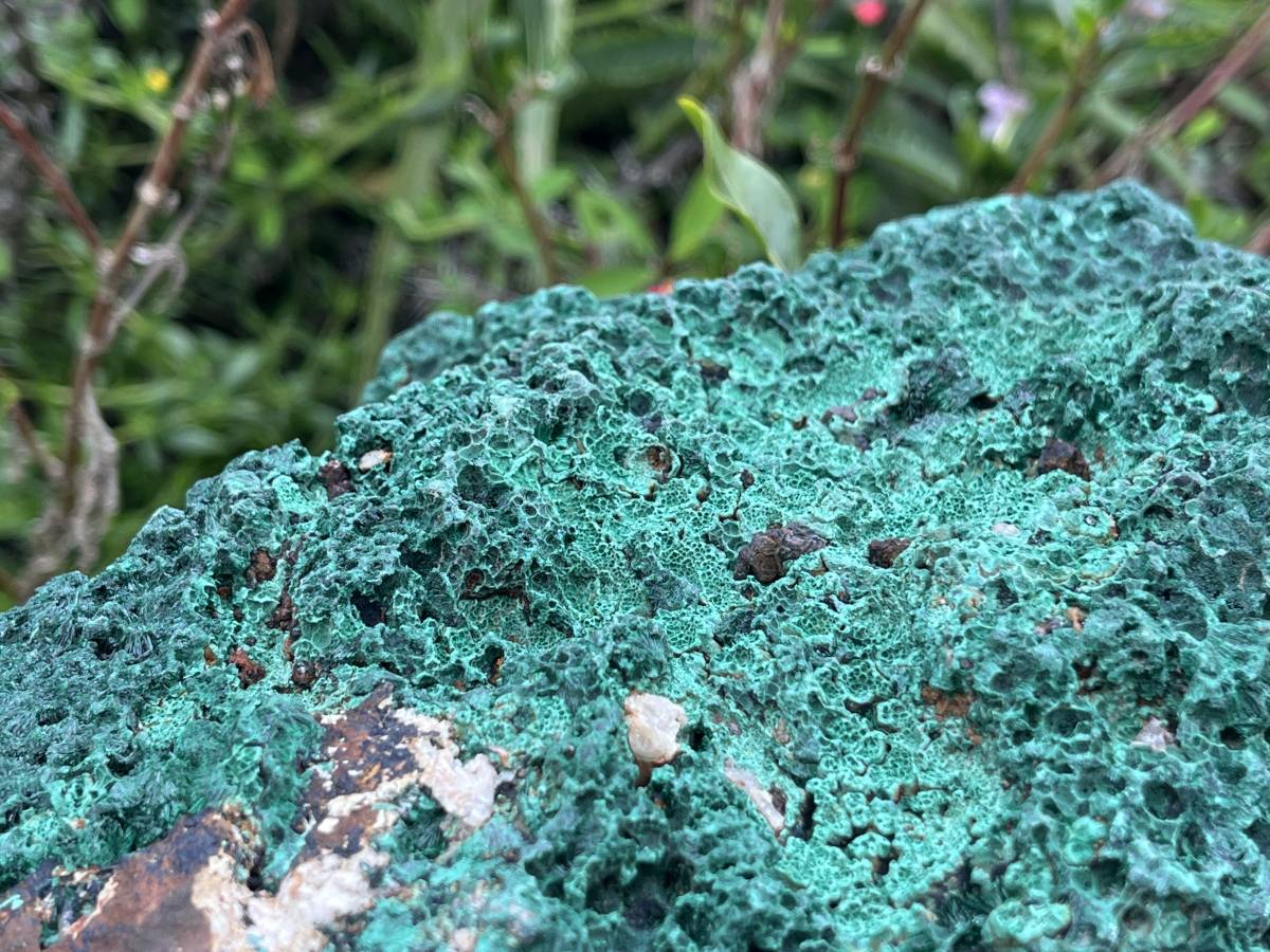 Natural XL Silky Malachite Specimen x 1 From Kasompe, Congo
