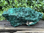 Natural XL Silky Malachite Specimen x 1 From Kasompe, Congo