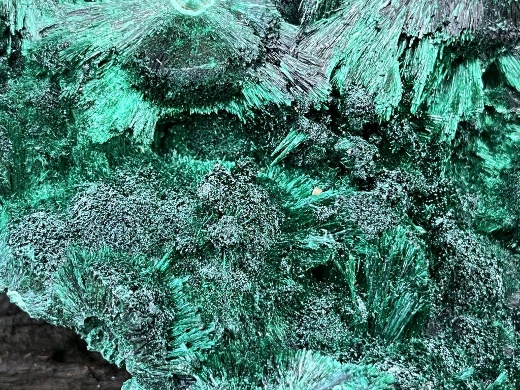 Natural XL Silky Malachite Specimen x 1 From Kasompe, Congo