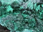 Natural XL Silky Malachite Specimen x 1 From Kasompe, Congo
