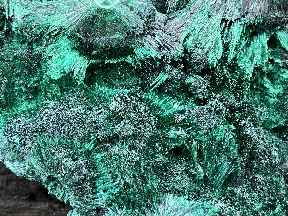 Natural XL Silky Malachite Specimen x 1 From Kasompe, Congo