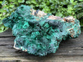 Natural XL Silky Malachite Specimen x 1 From Kasompe, Congo
