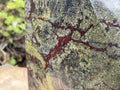 Polished XXL Bastite Dragonsblood Stone Display Crystal x 1 From Tshipise, South Africa