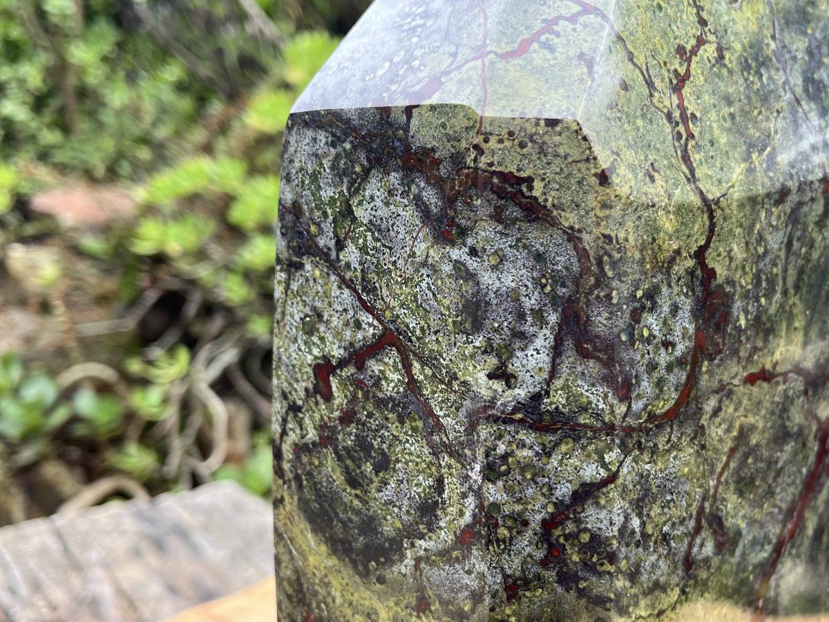 Polished XXL Bastite Dragonsblood Stone Display Crystal x 1 From Tshipise, South Africa