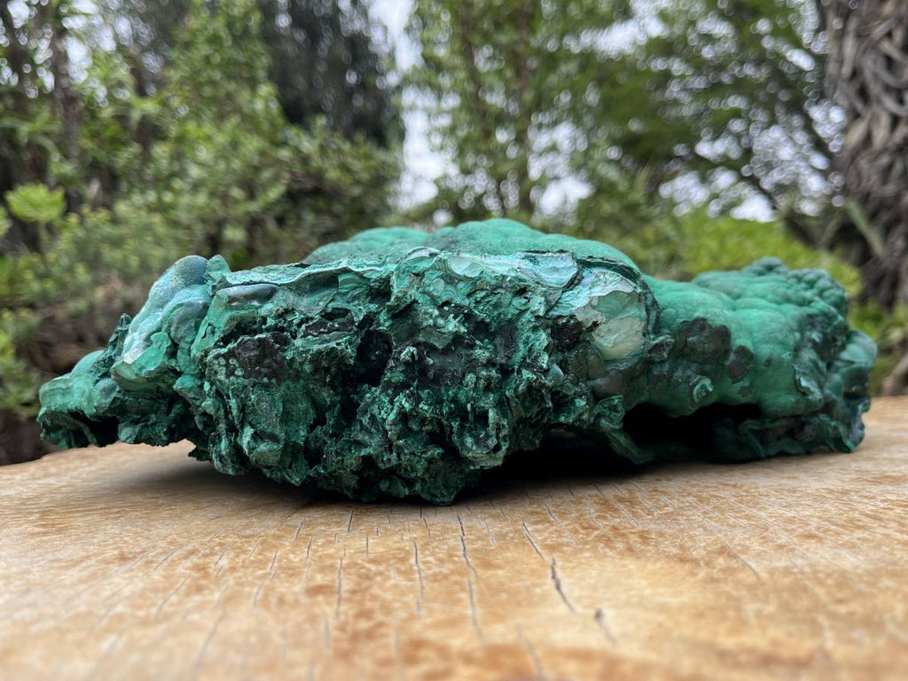 Natural Extra Large Botryoidal Malachite with Chrysocolla Specimen x 1 From Kolwezi, Congo