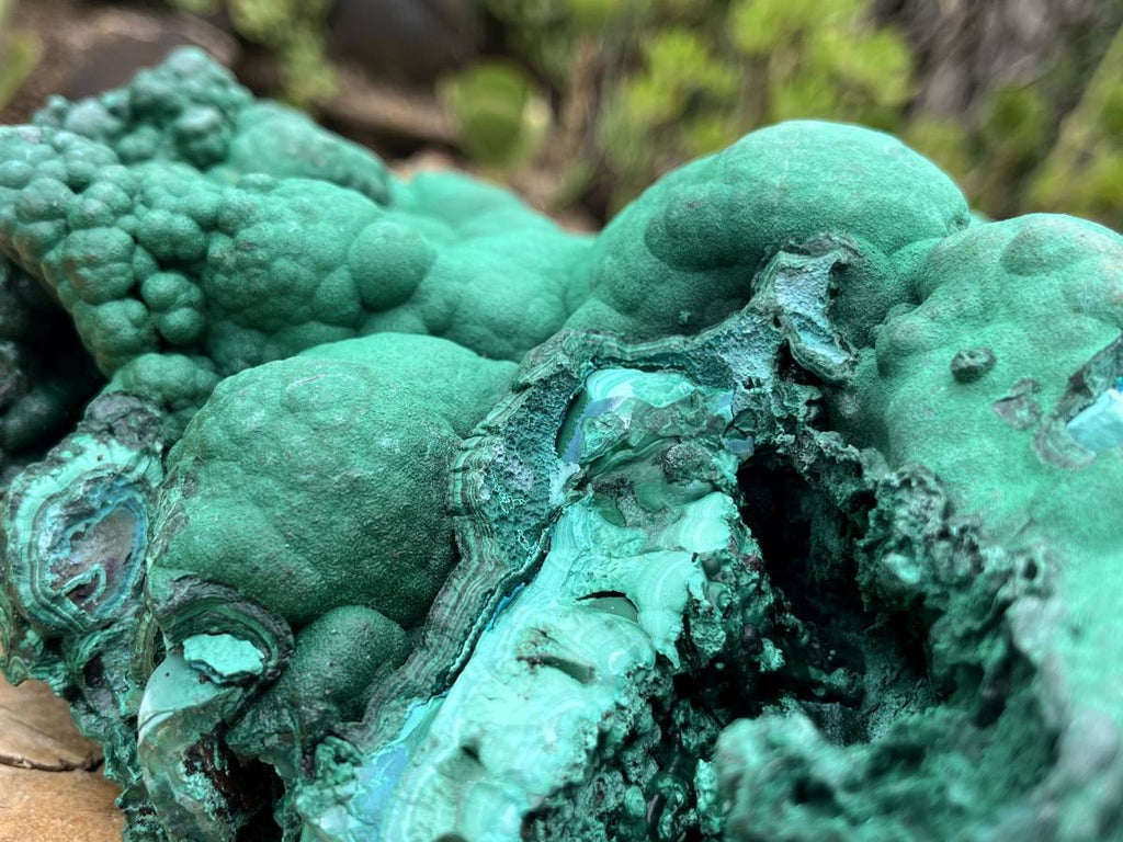 Natural Extra Large Botryoidal Malachite with Chrysocolla Specimen x 1 From Kolwezi, Congo