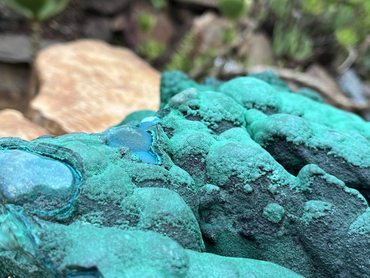 Natural Extra Large Botryoidal Malachite with Chrysocolla Specimen x 1 From Kolwezi, Congo