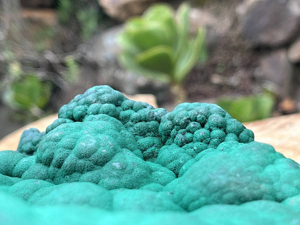 Natural Extra Large Botryoidal Malachite with Chrysocolla Specimen x 1 From Kolwezi, Congo