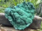 Natural Extra Large Botryoidal Malachite with Chrysocolla Specimen x 1 From Kolwezi, Congo