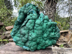 Natural Extra Large Botryoidal Malachite with Chrysocolla Specimen x 1 From Kolwezi, Congo
