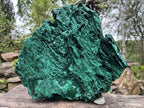 Natural Extra Large Botryoidal Malachite with Chrysocolla Specimen x 1 From Kolwezi, Congo