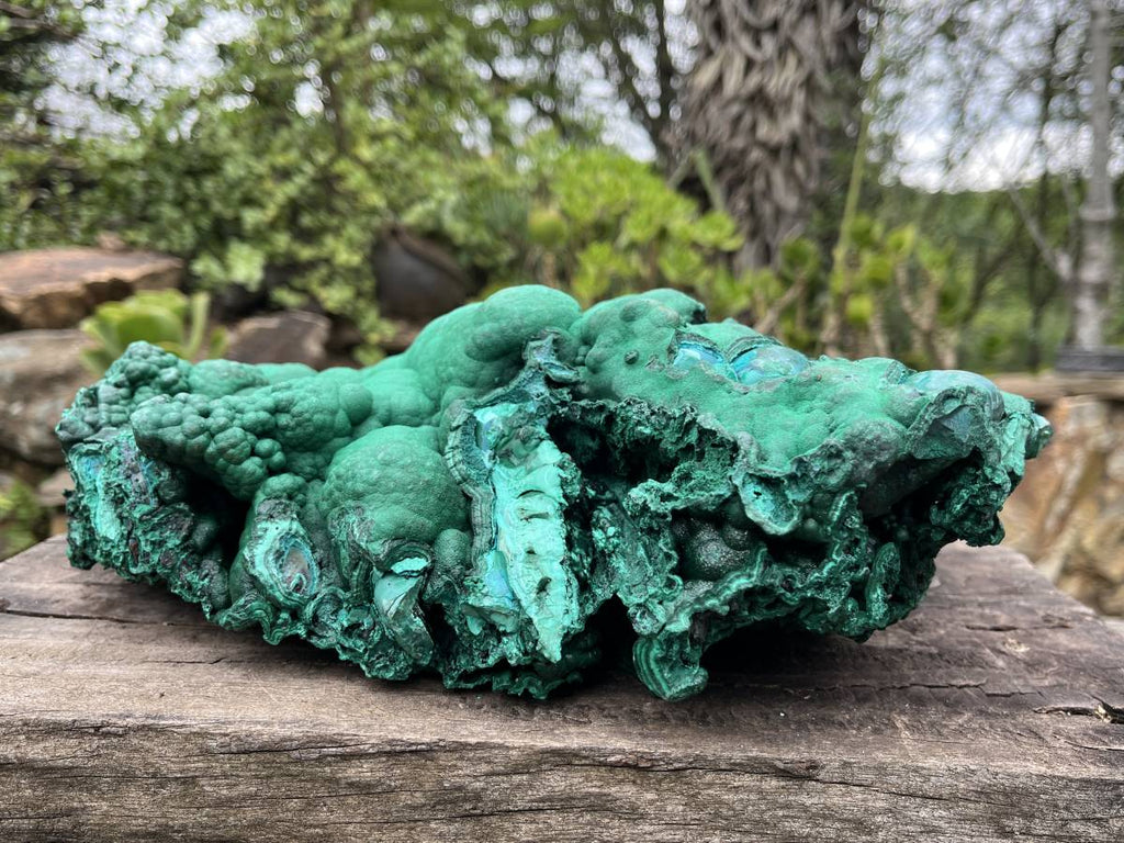 Natural Extra Large Botryoidal Malachite with Chrysocolla Specimen x 1 From Kolwezi, Congo