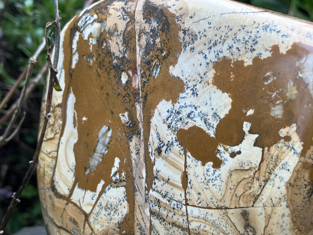 Polished XL Picture Stone Jasper Standing Free Form x 1 From Ais-Ais, Namibia