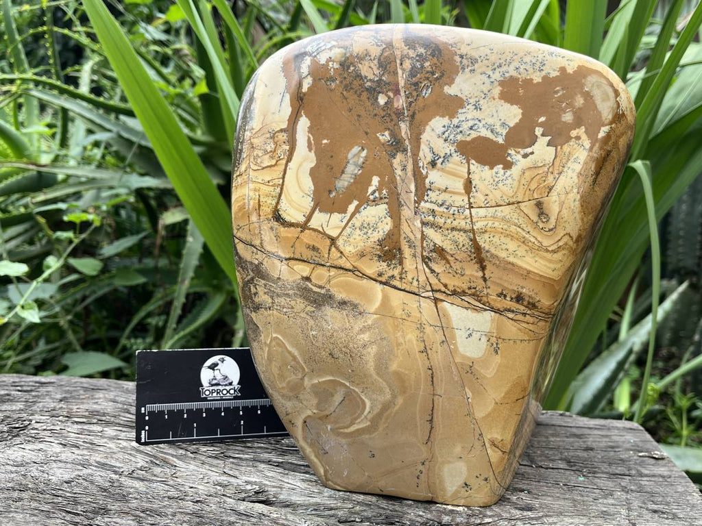 Polished XL Picture Stone Jasper Standing Free Form x 1 From Ais-Ais, Namibia