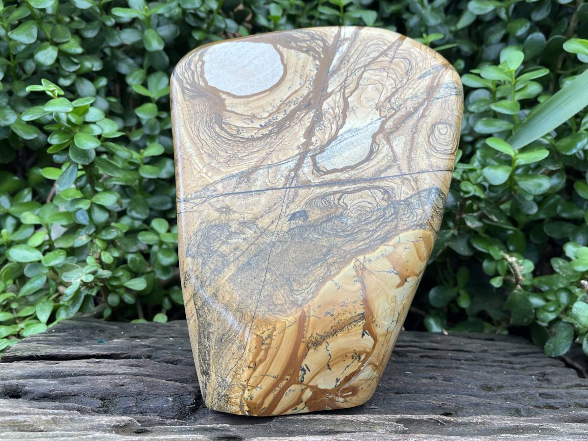 Polished XL Picture Stone Jasper Standing Free Form x 1 From Ais-Ais, Namibia