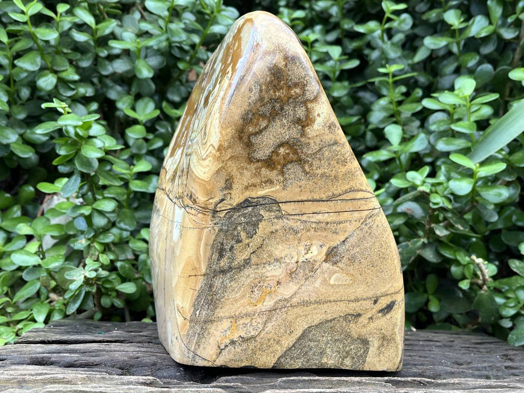 Polished XL Picture Stone Jasper Standing Free Form x 1 From Ais-Ais, Namibia