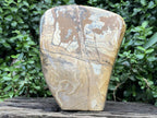 Polished XL Picture Stone Jasper Standing Free Form x 1 From Ais-Ais, Namibia