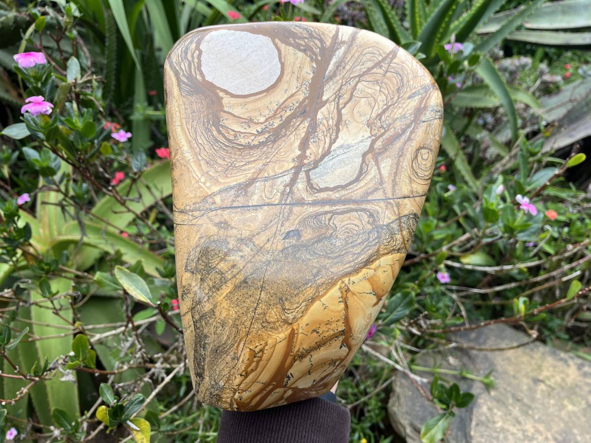 Polished XL Picture Stone Jasper Standing Free Form x 1 From Ais-Ais, Namibia