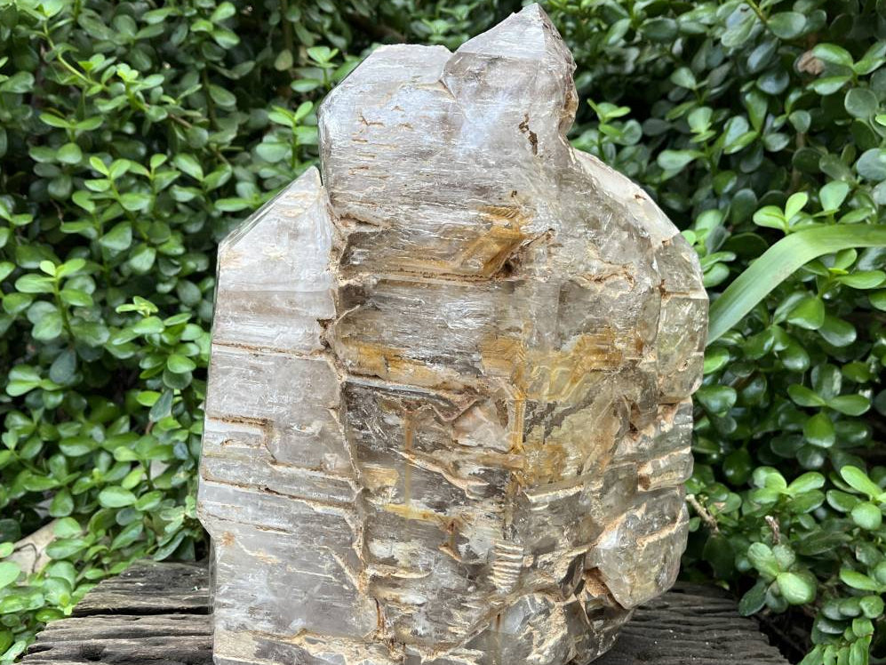 Polished XL Smokey Cascading Window Quartz Crystal  x 1 From Madagascar